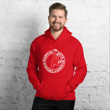 Carregar imagem no visualizador da galeria, World Martial Arts Academy Unisex Hoodie
